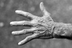 hand elderly woman wrinkles black and white 54321 250px